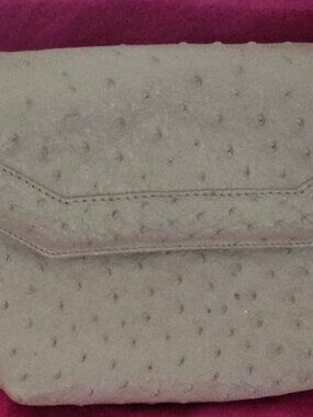 EXOTIC Oatmeal Full Quill Ostrich Evening Bag